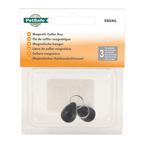 Staywell® Magnetic Key (2-Pack)