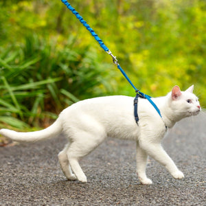 Easy Walk™ Cat Harness