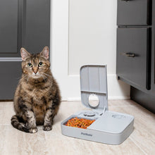 Load image into Gallery viewer, Automatic 2 Meal Pet Feeder
