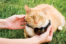 Load image into Gallery viewer, Deluxe In-Ground Cat Fence™ Extra Receiver Collar
