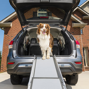 Rampe télescopique extra longue pour chiens Happy Ride™ de PetSafe