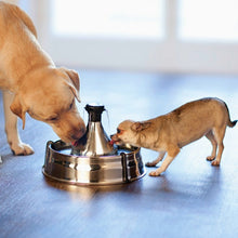 Load image into Gallery viewer, Drinkwell® 360 Stainless Steel Pet Fountain
