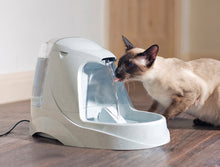 Load image into Gallery viewer, Drinkwell® Platinum Pet Fountain
