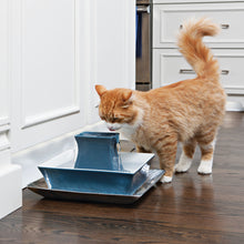 Load image into Gallery viewer, Drinkwell® Pagoda Pet Fountain
