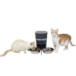 2-Pet Meal Splitter with Bowl